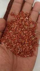 Product_Name